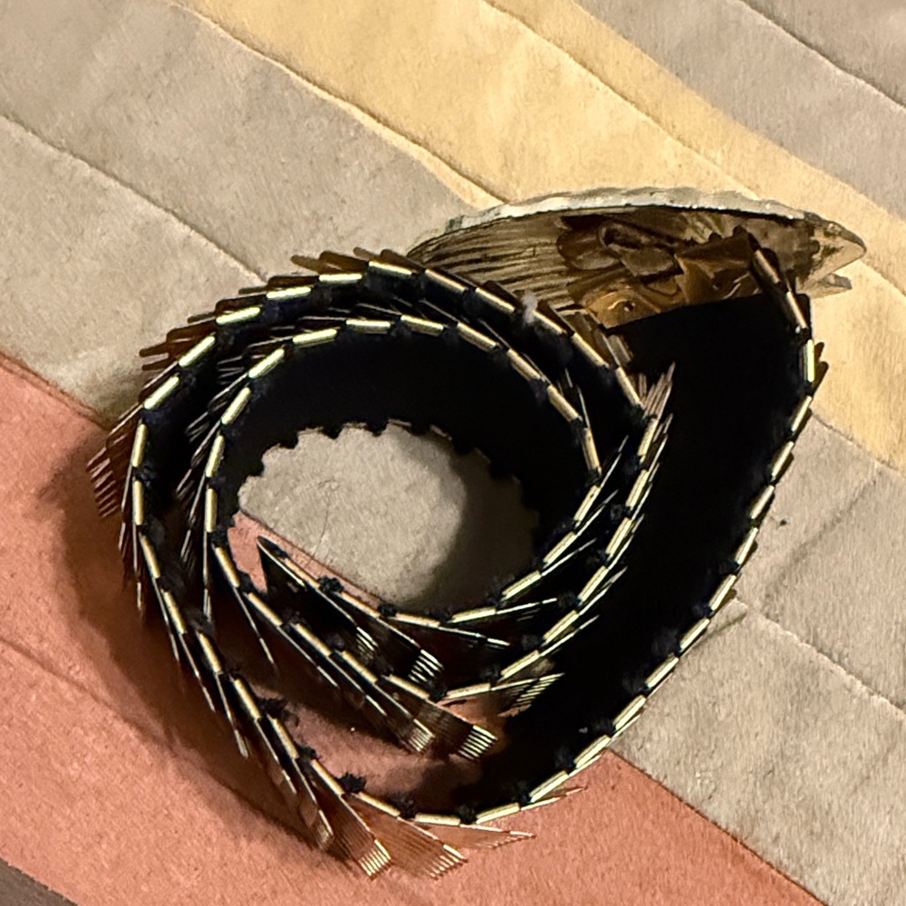 Gold Shell-Detail Stretch Waist Belt - Women Accessories - Picture 5 of 13